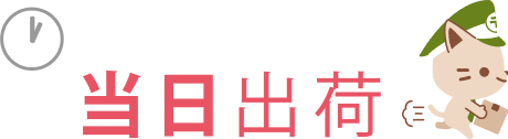 午後1時までのご注文で当日出荷！