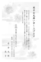 t_bwt0257h_gy00